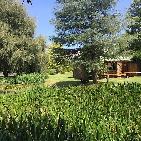 Meadow Lane Country Cottages أندربرغ الغرفة الصورة