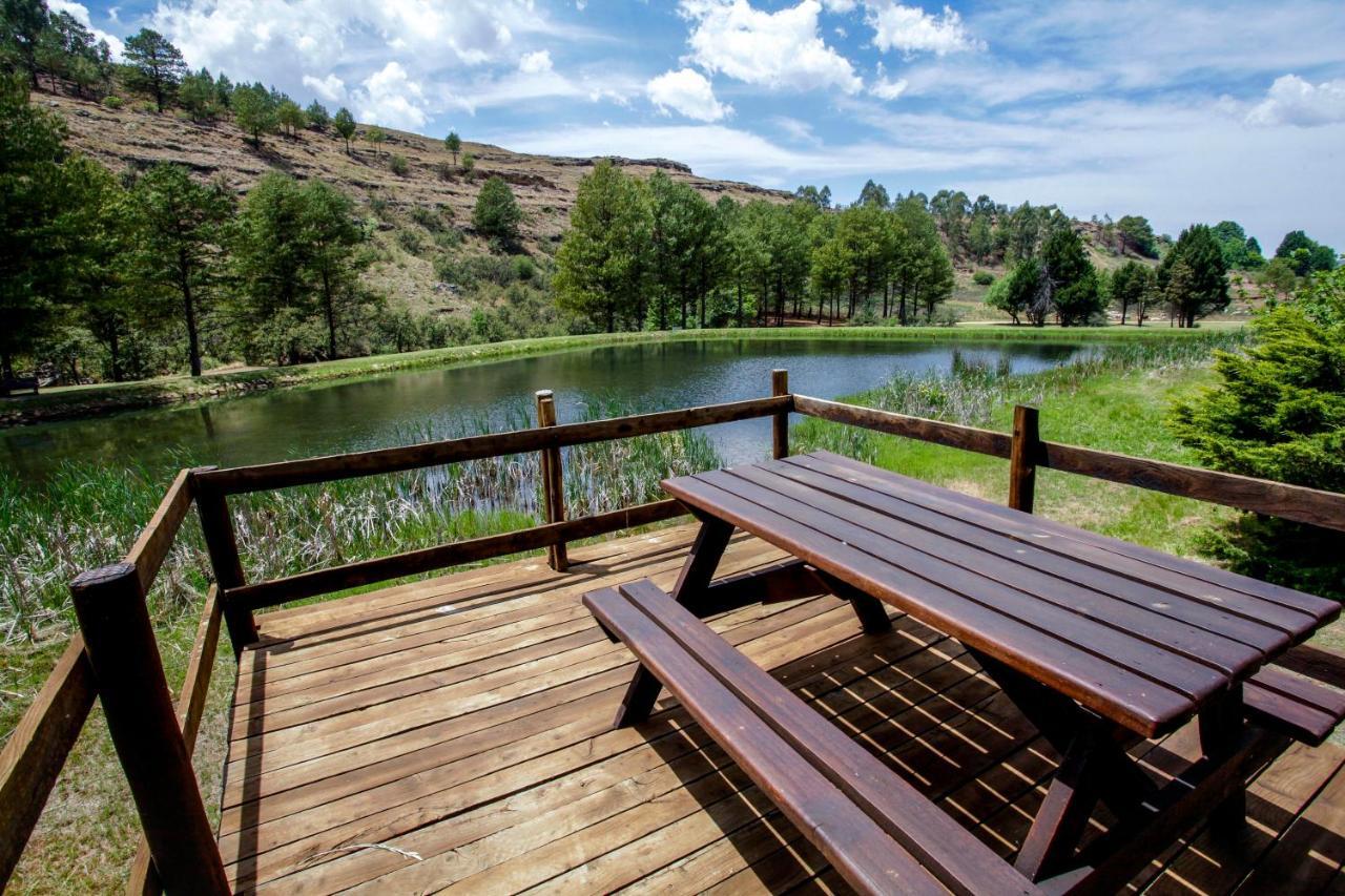 Meadow Lane Country Cottages أندربرغ المظهر الخارجي الصورة