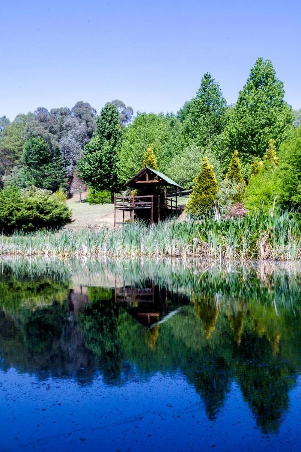 Meadow Lane Country Cottages أندربرغ المظهر الخارجي الصورة